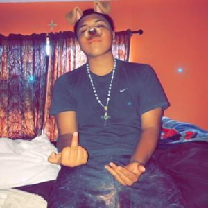 Meet your Posher, Dozey